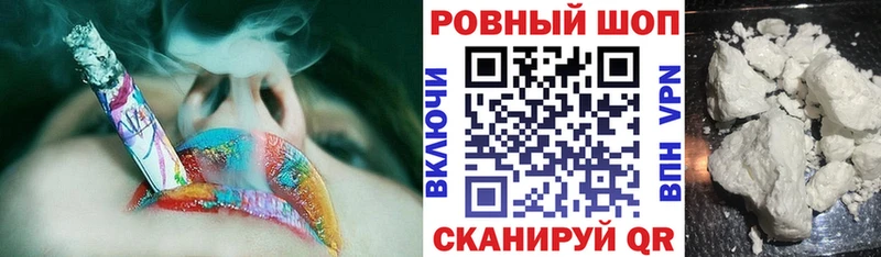 Где продают наркотики Новозыбков Кокаин  Псилоцибиновые грибы  блэк спрут зеркало  Конопля 