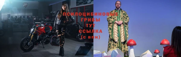 спиды Бронницы