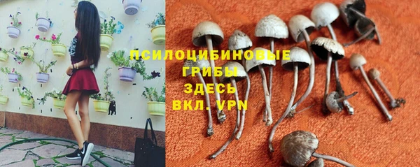 каннабис Бородино