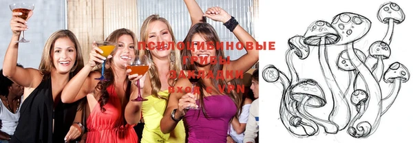ГАЛЛЮЦИНОГЕННЫЕ ГРИБЫ Бугульма