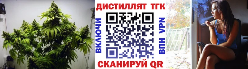 Дистиллят ТГК концентрат  Новозыбков 