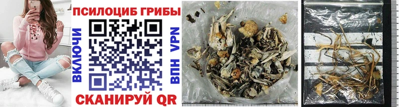Псилоцибиновые грибы Psilocybine cubensis MEGA онион Новозыбков