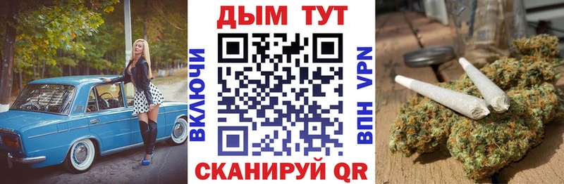 МАРИХУАНА ГИДРОПОН  продажа наркотиков  ссылка на мегу как войти  Новозыбков 